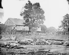 Battle of Gettysburg - Trostle Barn Dead Artillery Horses 8x10 Civil War Photo
