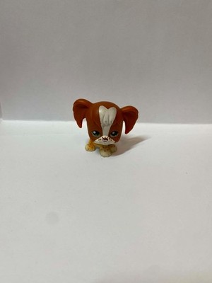 LPS Littlest Pet Shop Cocker Spaniel Dog #31 Brown & White freckles 2004 Hasbro