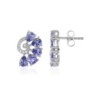 Tansanit WeißEr Topas Sterling-Ohrringe 2,58Ct Tansania