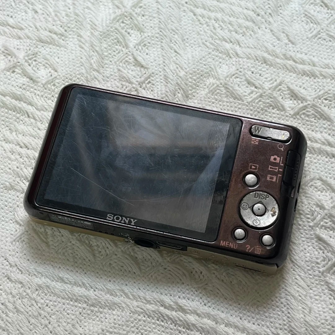 SONY Cyber-shot DSC-W570 16.1MP 5x Optical Zoom Digital Camera