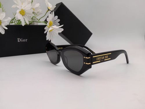 Dior DSGTA30UCR 26A1 Black sunglasses