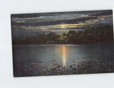 Postcard A Moonlit Lake Scene in Southern Florida USA