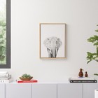 Elephant Black and White Portrait - Floater Frame Photograph Print on Canvas