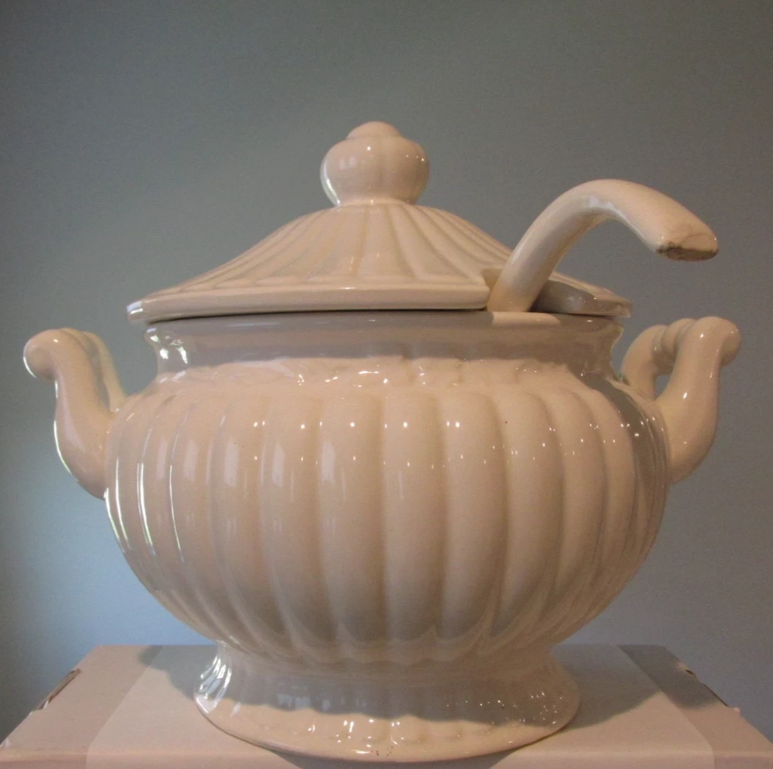White Ceramic Ribbed Sauce Soup Tureen Japan With Lid & a Ladle