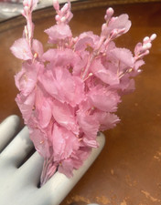 vintage 1940s lilies of the valley flowers 2 bundles 12 branches baby pink Japan