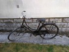 Vélos Raleigh pour femme