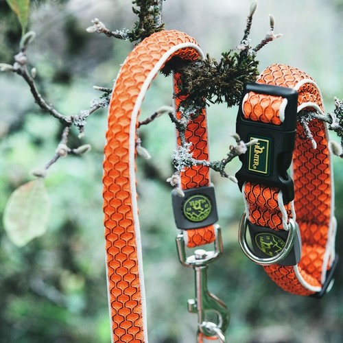 Hundehalsband Hunter Basic Thema Orange M [33-50 cm] - Bild 3 von 3