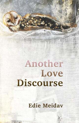 Another Love Discourse by Edie Meidav: Used