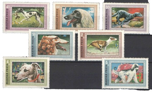 Germany 2024 - Dogs Deutsche Post Publication - 11 MNH Stamps and  display picture 1