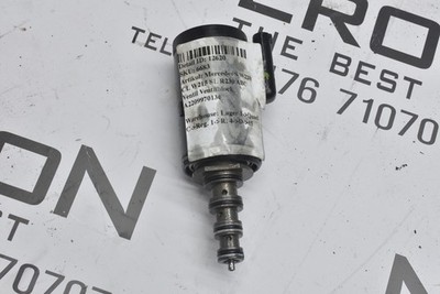 Mercedes S W220 CL W215 SL R230 ABC Ventil Ventilblock A2209970036