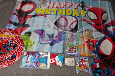 Spiderman Friends Birthday Party Supplies Kit Balloons Backdrop Banner Toppers