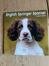 English Springer Spaniel Puppies Square (Calendar)
