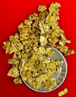 Gold Nuggets 10.0+ Grams Placer Alaska Natural #6 - #8 Mammoth Creek Hi Purity — photo 2