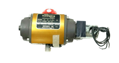 FLOWSERVE 10-39-S-120A-R6 PNEUMATIC VALVE ACTUATOR SERIES 39