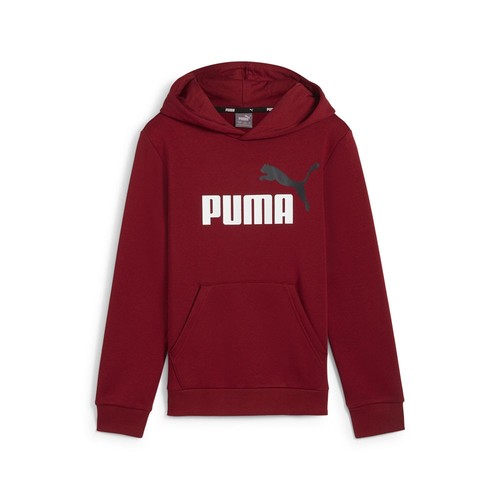 PUMA Essential 2 Logo Hoodie Youth Boys Red Casual Outerwear 58698713