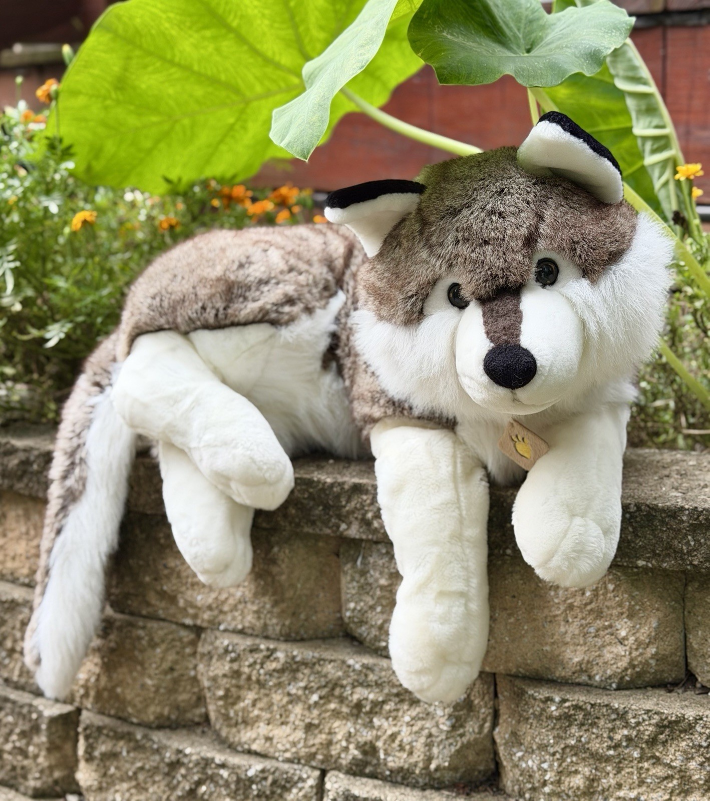 36" Plush & Company Wolf Large Brown White Lying Floppy Plush Stuffed Animal