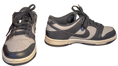 2021 Nike Dunk Low GS Sneakers CW-1590-004 UNISEX Boys SIZE US 5Y, UK 4.5 CLEAN!
