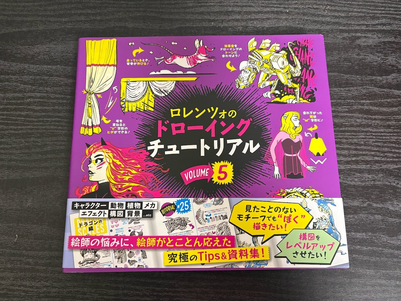 HOW TO THINK WHEN YOU DRAW vol.5 Japanese version Guide Book Japan JP