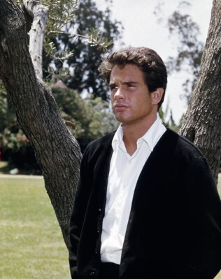 BEAUTIFUL WARREN BEATTY 8X10 Photo