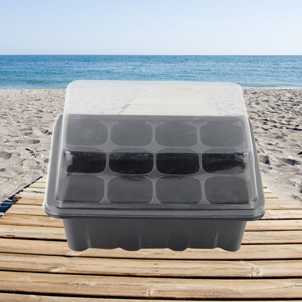 3 Pcs Germination Plant Starter Tray with Lid Appetizer eBay