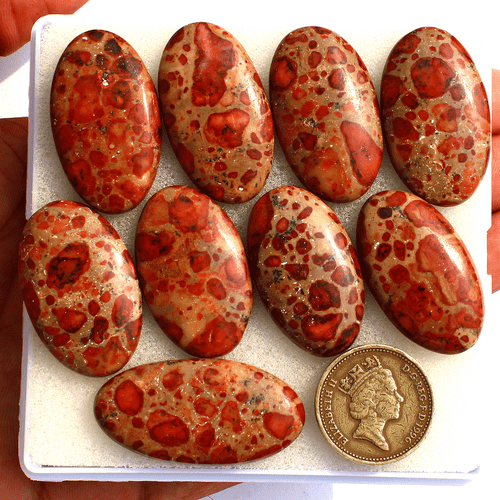 9 Pcs Natural Asteroid Jasper Top Grade 33mm-39mm Oval Cabochon Loose Gemstones - Picture 9 of 11
