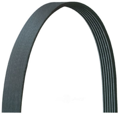Serpentine Belt-Natural Drive-Rite 5040418DR