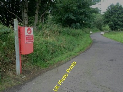Foto 6x4 Hundetonne entlang des Highway to Health Path, Mullaghmore An Oghmag c2016