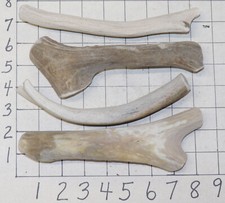 4 Deer Antler Dog Chew Treats