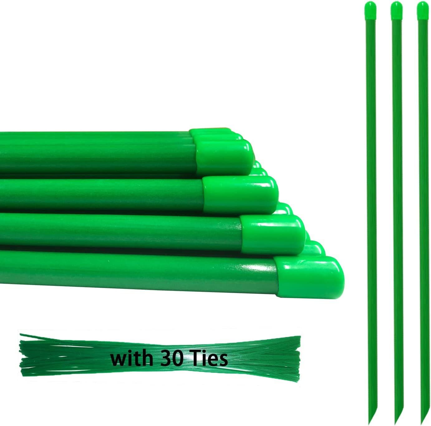 Fiberglass Garden Stakes 5FT, Tomato Stakes, Plant Stakes (Pack of 30