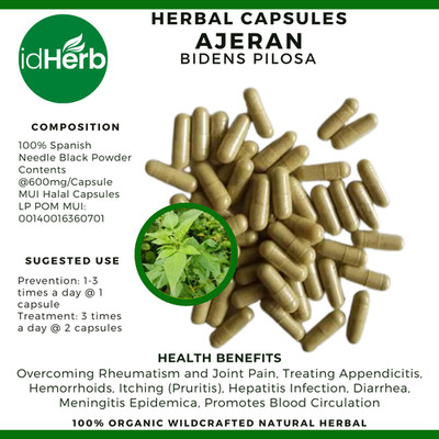 [idHerb] CAPSULE Ajeran Bidens pilosa Natural Organic Herbal Herbs