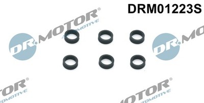 Dr.Motor Automotive DRM01223S Dichtring, Einspritzventil for ALPINA BMW MORGAN W