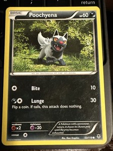 Poochyena 53/119 XY-Phantom Forces Regular