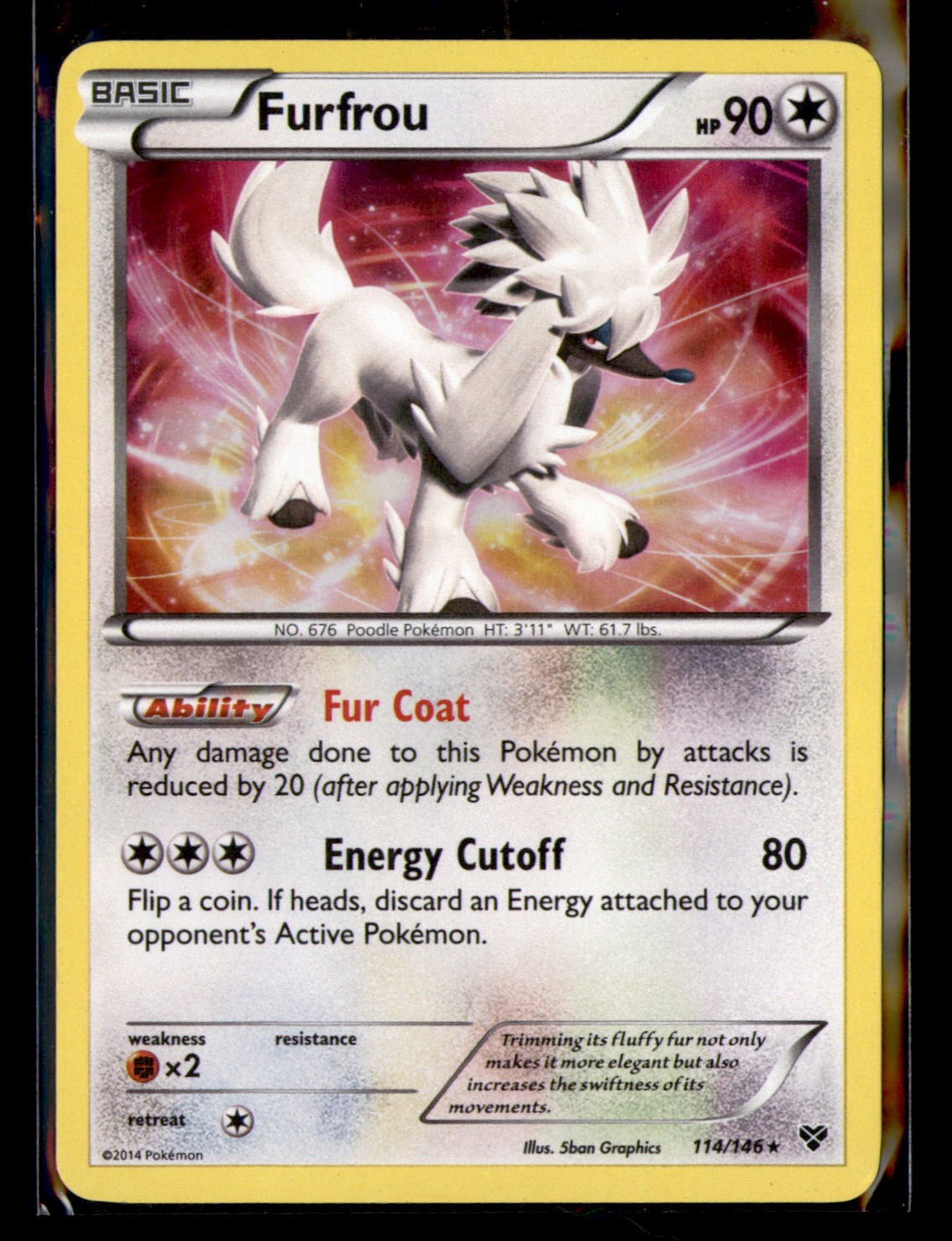 Furfrou XY Base Set 114/146 Holo Rare NM