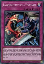 Yu-Gi-Oh: Sammlung der Rache | ROTD-FR099 | Super Rare | NM | DE