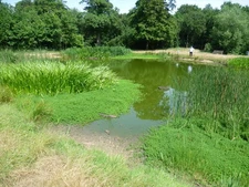 Photo A2 The fishpond on Barn Hill Kenton/TQ1788 Barn Hill is part of F c2015