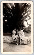 Vtg B&W Snapshot Two Women And Young Girl In Dresses By Stone Wall Palm 1940s