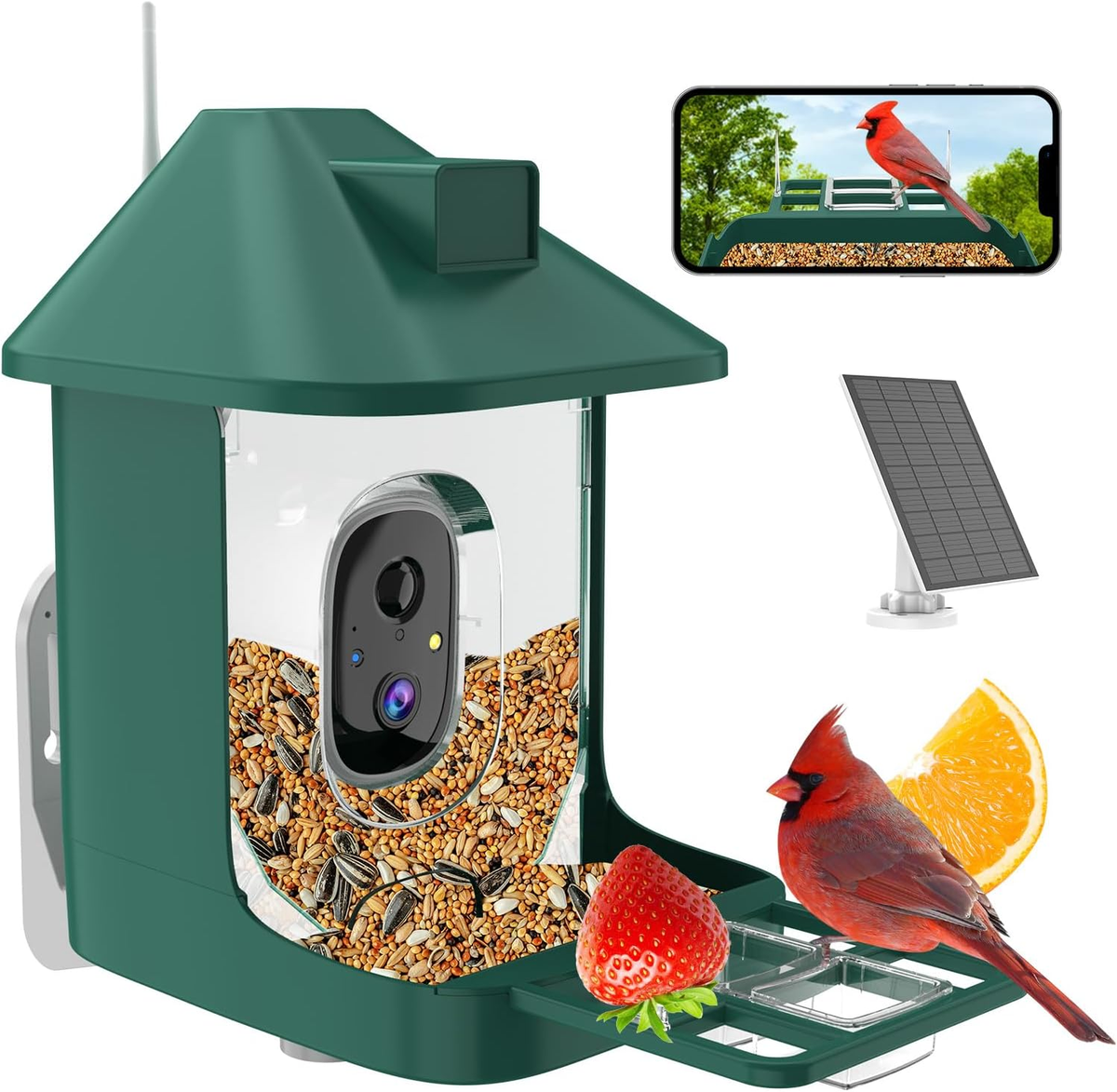 Bird Feeder with Camera,Fhd Live View,Wifi Smart Bird House with