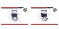 Esen Skv 2X Radnabe Radlagersatz Hinterachse FüR Honda CR-V Ii Accord Vii Rd Cl