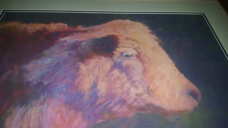 Picture 7 of 9