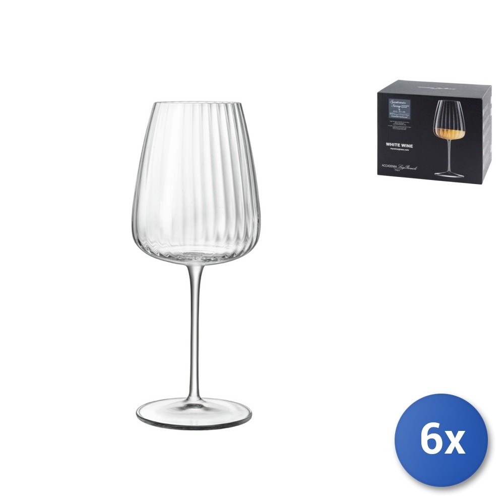 6 Transparent Glass Wine Speakeasies Glasses For White Wine 55Cl