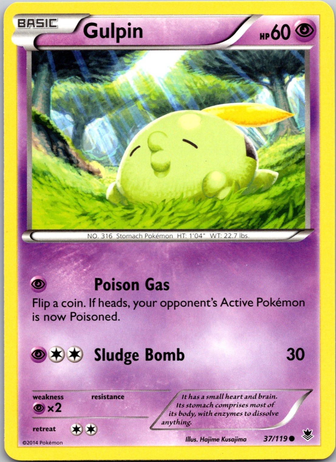 Gulpin Normal Common XY - Phantom Forces 37/119 NM