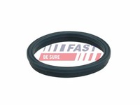 Fast Dichtung, AnsaugkrüMmer FT49407 FüR Ford LTI
