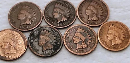 7 DIFFERENT Indian Head Cent Penny Lot Coins- 4 Will Be From The 1800s - #235