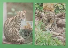 DR WHO TAIWAN CHINA 2 FDC MAXIMUM CARD LEOPARD CAT ANIMAL R62559