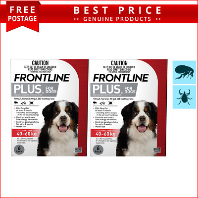 frontline plus 12 pack