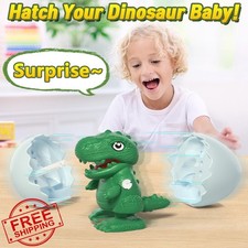 Intoypad Hatching Dinosaur Egg Toy Wind-up Walking Dino