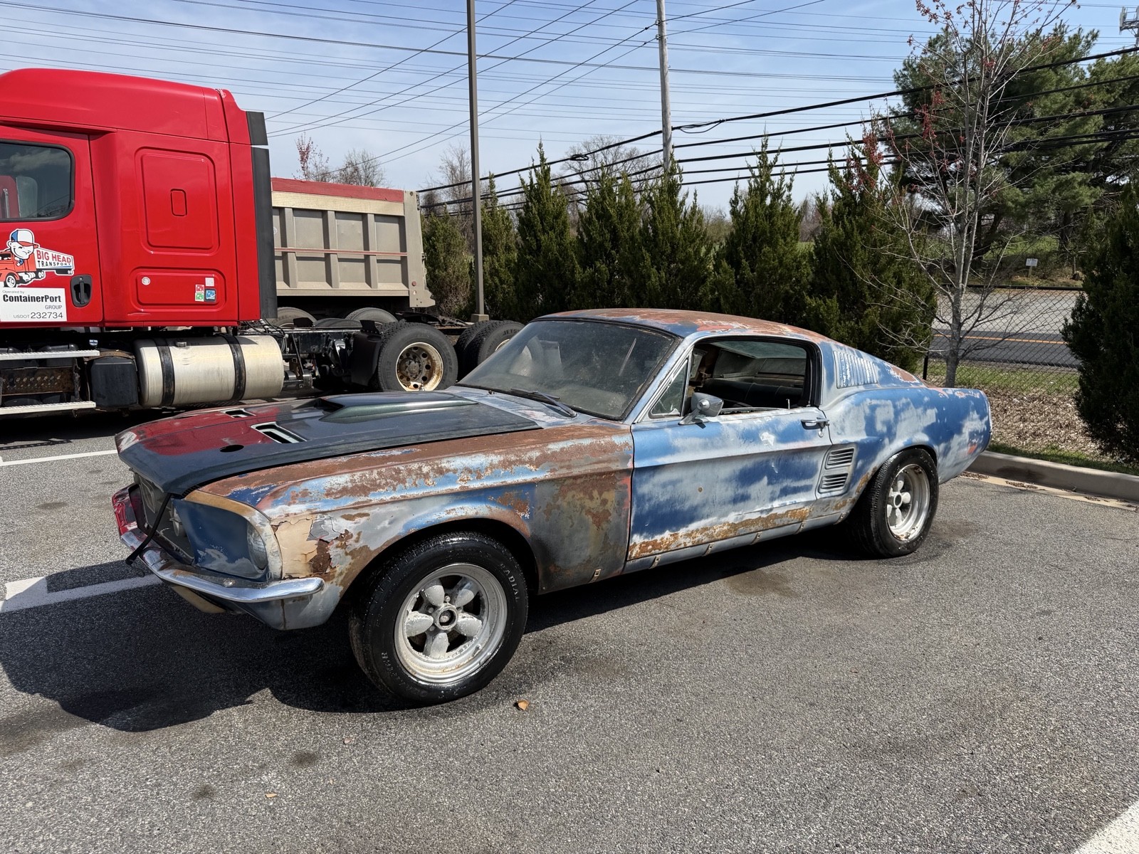 1967 Ford Mustang for sale in Nottingham Maryland