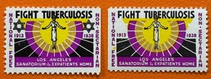 1938 Los Angeles Sanatorium Tuberculosis Christmas Seal TB Cinderella MNHFG