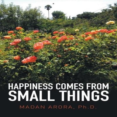 Happiness Comes from Small Things Madan Arora Ph.D. Paperback Aut
