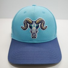 Gorra de béisbol Hartford Yard Goats MiLB Los Chivos calavera logotipo informal verde azulado azul marino